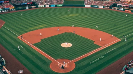 以日本甲子園為參照範本，期待打造屬於台灣未來的專業棒球場