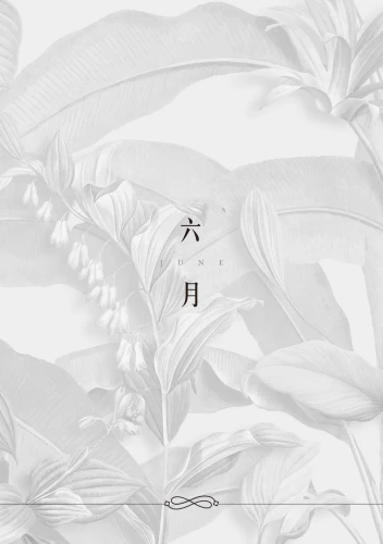 9789570534863_14_這一年，我靠植物找回自己：讓疲憊歸零，綠活慢療重啟人生