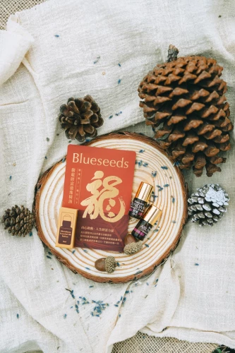 4713006583533_3_知識就是財富選品　騰龍財富滾珠精油