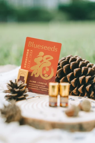 4713006583533_4_知識就是財富選品　騰龍財富滾珠精油