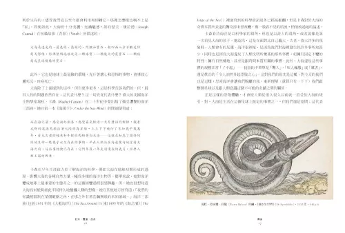 7_蛇妖、賽蓮、漩渦：來自海洋的冒險與神話