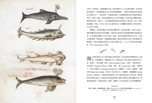 8_蛇妖、賽蓮、漩渦：來自海洋的冒險與神話