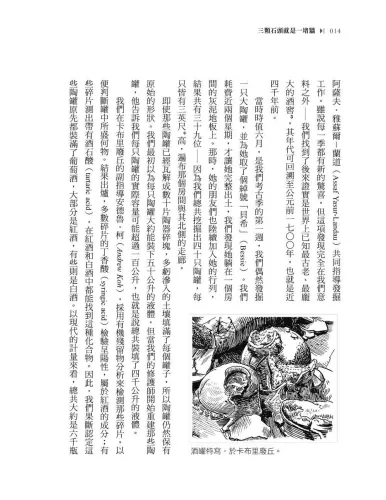 9789570536126_09_三顆石頭就是一堵牆：從圖坦卡門到納斯卡線，考古學的故事