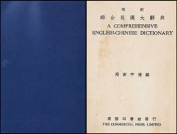 綜合英漢大辭典