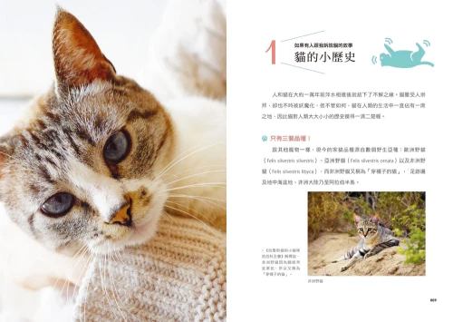 20201106152826_p3_小貓咪呼嚕聲的幸福禪式生活