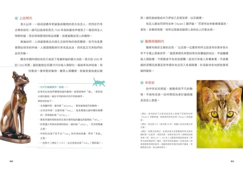 20201106152826_p4_小貓咪呼嚕聲的幸福禪式生活