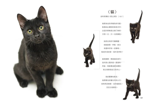 20201106152826_p5_小貓咪呼嚕聲的幸福禪式生活