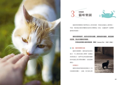 20201106152826_p6_小貓咪呼嚕聲的幸福禪式生活