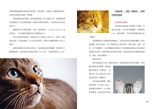 20201106152826_p7_小貓咪呼嚕聲的幸福禪式生活