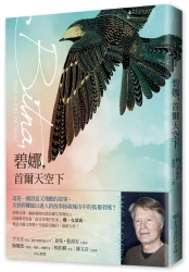 碧娜，首爾天空下