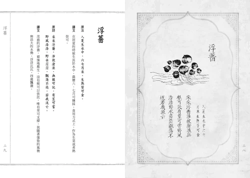 20210914105556_p5_野菜譜：明朝的荒年寶典，60種可食可藥用的雜草野花（一書一袋／贈品版）