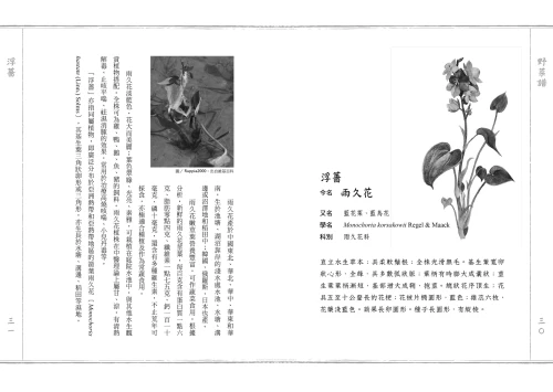 20210914105556_p6_野菜譜：明朝的荒年寶典，60種可食可藥用的雜草野花（一書一袋／贈品版）