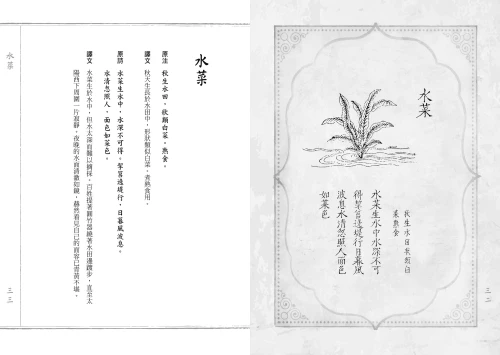 20210914105556_p7_野菜譜：明朝的荒年寶典，60種可食可藥用的雜草野花（一書一袋／贈品版）