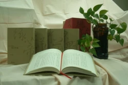 現代文學典藏 (盒裝5冊)【★段彩華小說選集 ★綠蒂詩選 ★林黛嫚短篇小說選 ★蔡詩萍文選 ★鮑爾吉‧原野散文選】套書